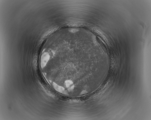 X0000112010586200908311136