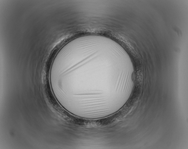 X0000112010587200908311136