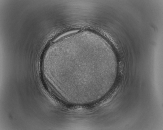 X0000112010589200908311136
