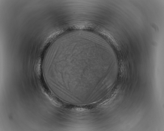 X0000112010590200908311136