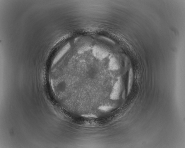 X0000112010591200908311136