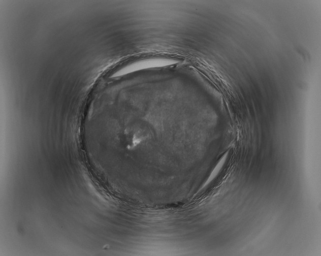 X0000112010592200908311136