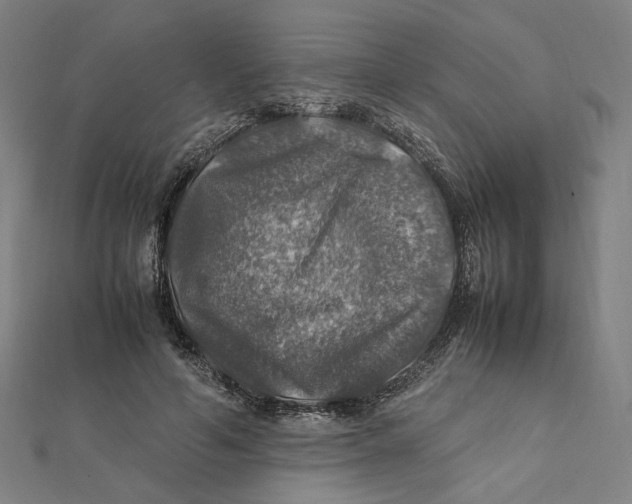 X0000112010594200908311136