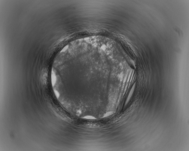 X0000112010596200908311136