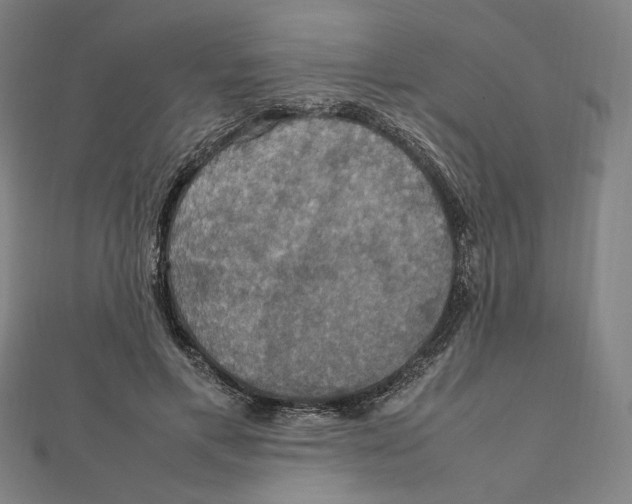 X0000112010597200908311136