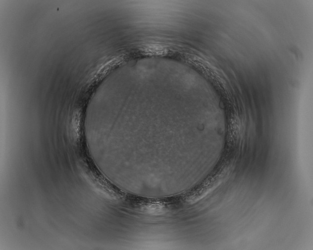 X0000112010600200908311136