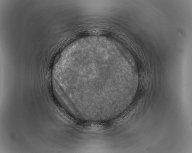 X0000112010601200908311136