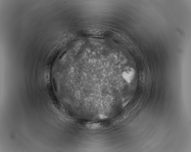 X0000112010602200908311136