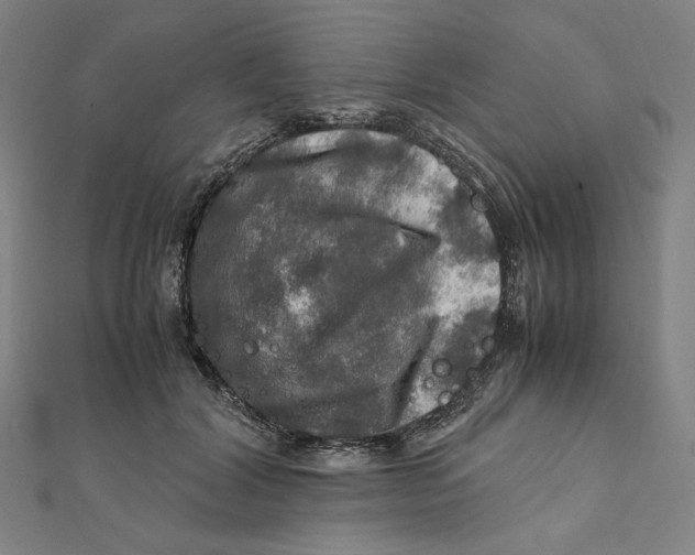 X0000112010604200908311136