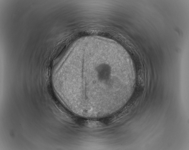 X0000112010605200908311136