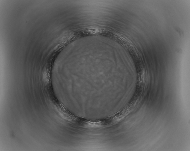 X0000112010606200908311136