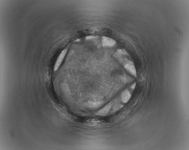 X0000112010607200908311136