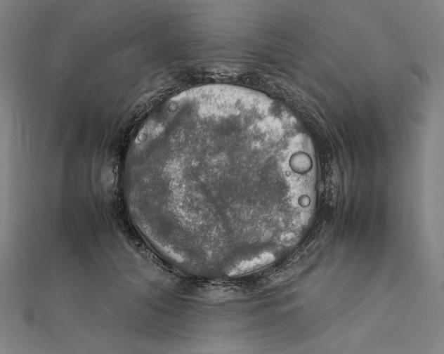 X0000112010608200908311135