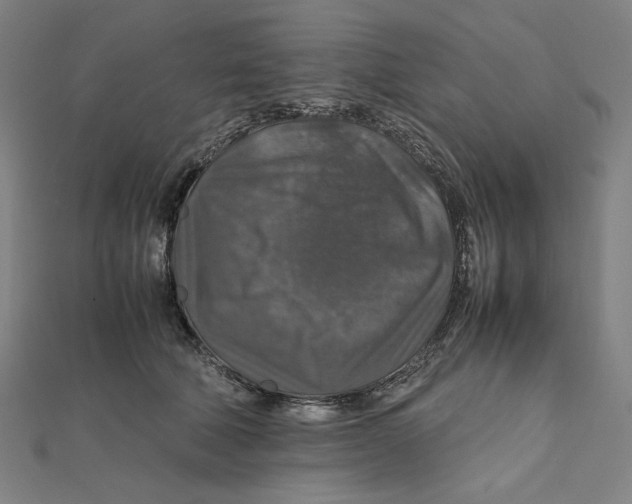 X0000112010610200908311135