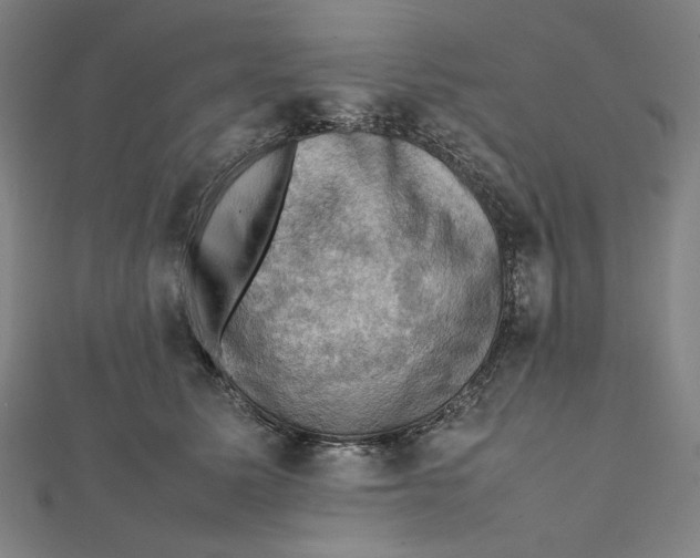X0000112010611200908311135