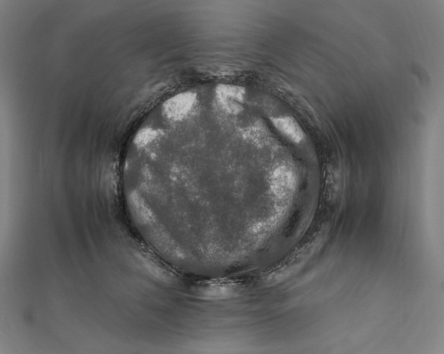 X0000112010612200908311135