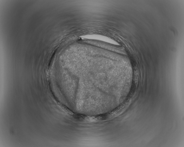 X0000112010613200908311135