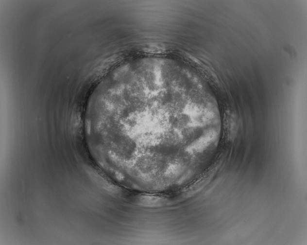 X0000112010614200908311135