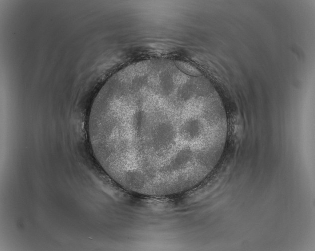 X0000112010615200908311135