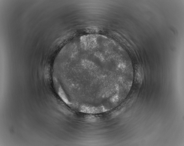 X0000112010616200908311135