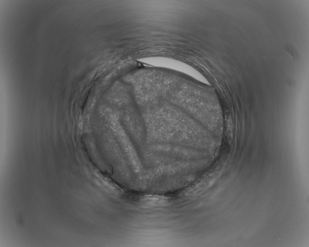 X0000112010617200908311135