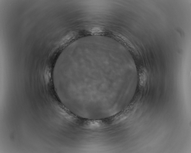 X0000112010618200908311135