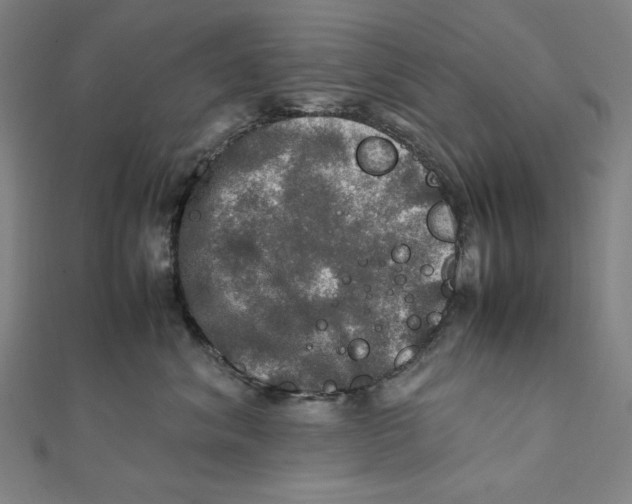 X0000112010620200908311135