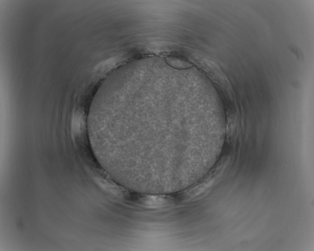 X0000112010623200908311135