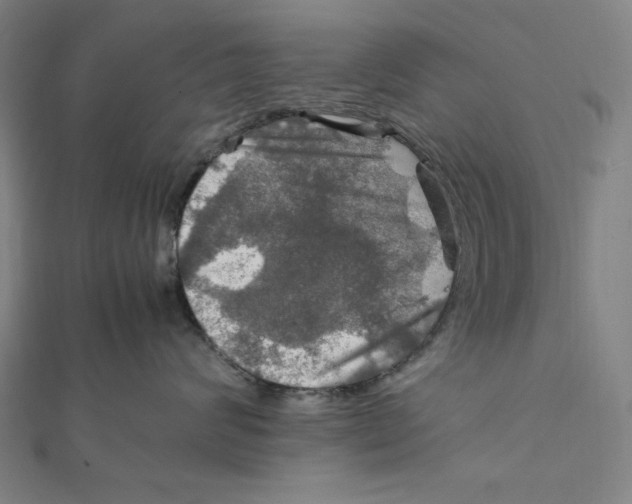 X0000112010624200908311135