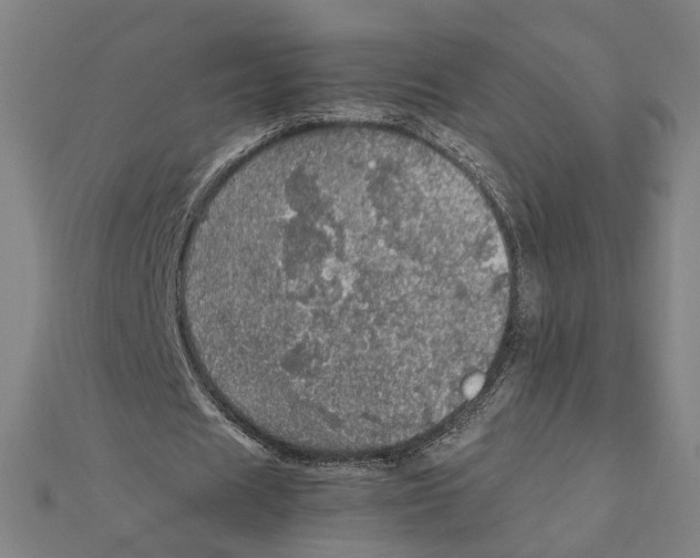 X0000112010625200908311135