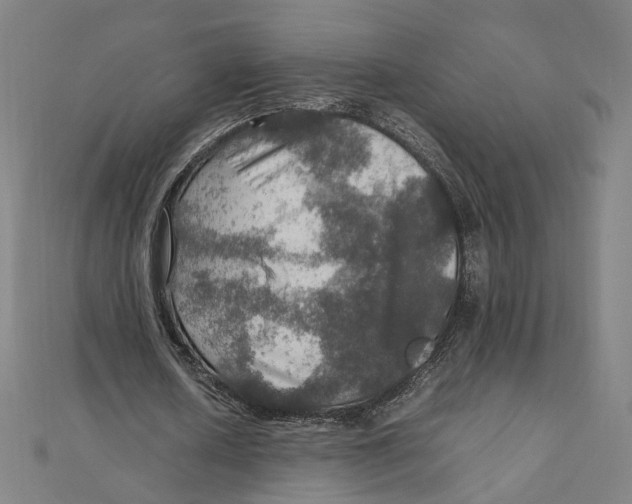 X0000112010626200908311135