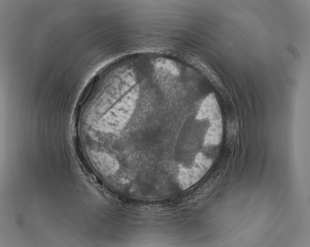 X0000112010628200908311135