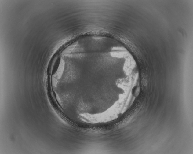 X0000112010630200908311135
