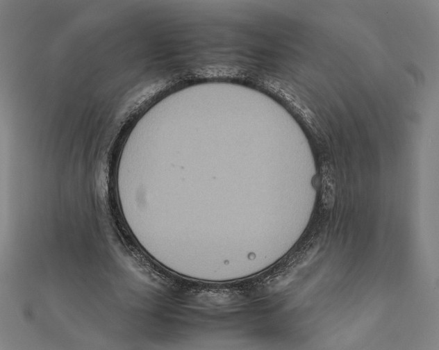 X0000112010631200908311135