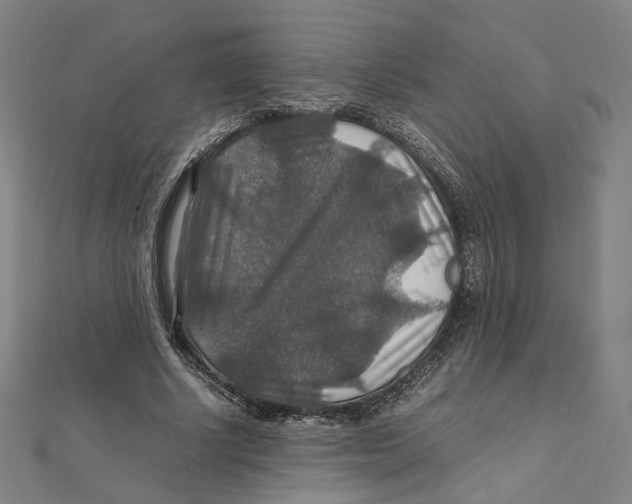 X0000112010634200908311135