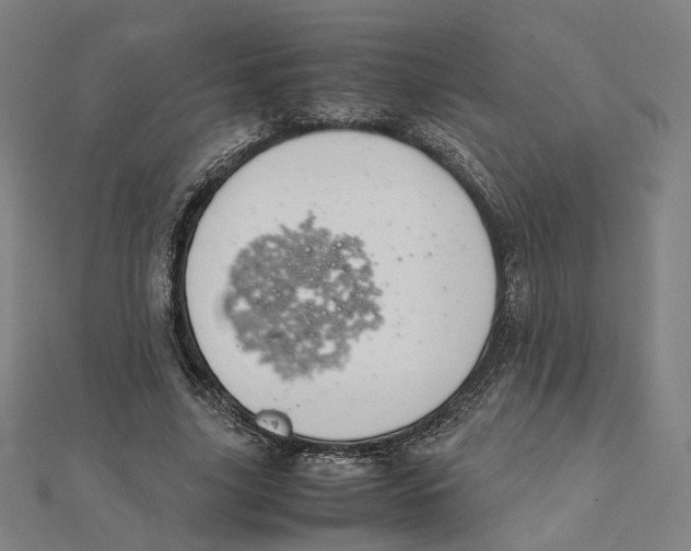 X0000112010635200908311135