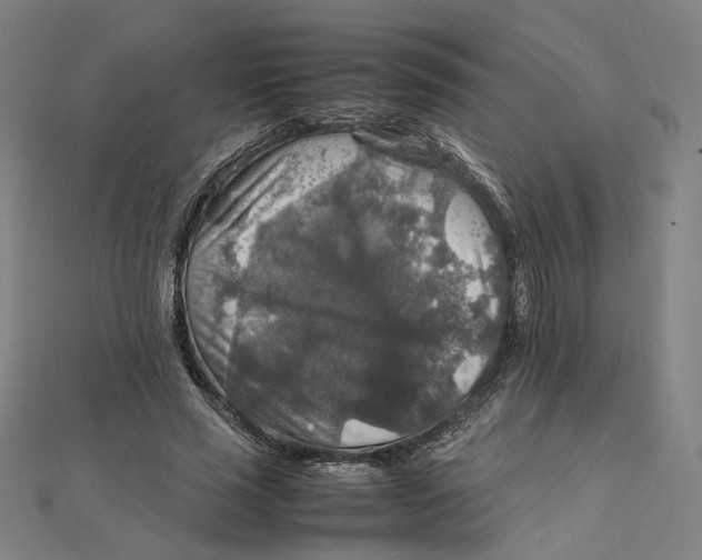 X0000112010637200908311135