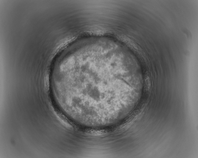 X0000112010638200908311135