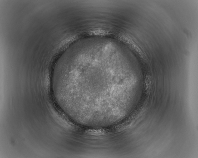 X0000112010639200908311135