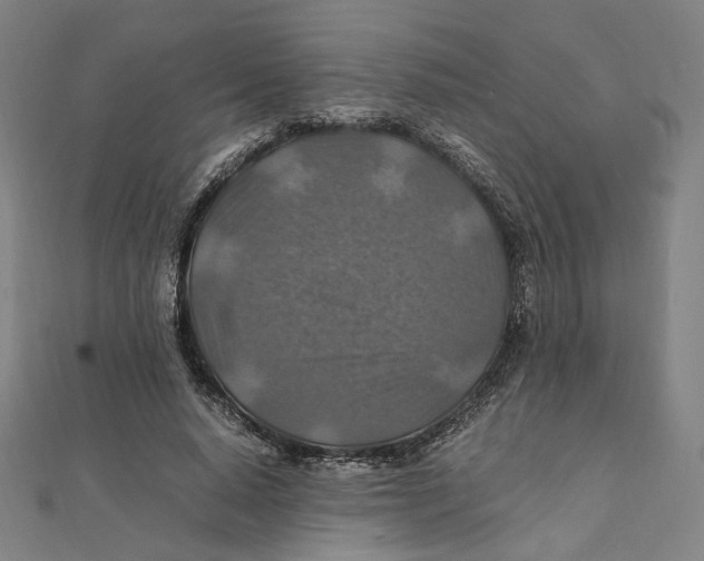 X0000112010640200908311135