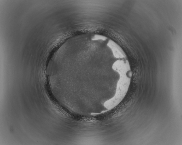 X0000112010642200908311135