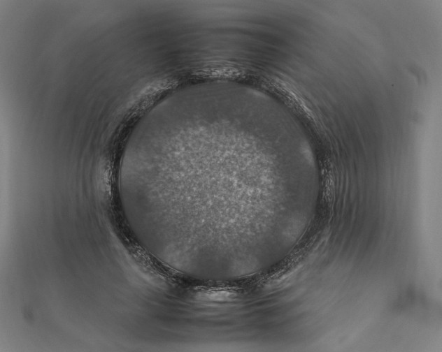 X0000112010643200908311135
