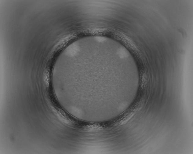 X0000112010644200908311135