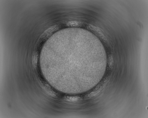 X0000112010645200908311135