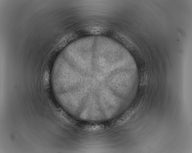 X0000112010646200908311135