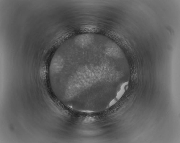 X0000112010647200908311135