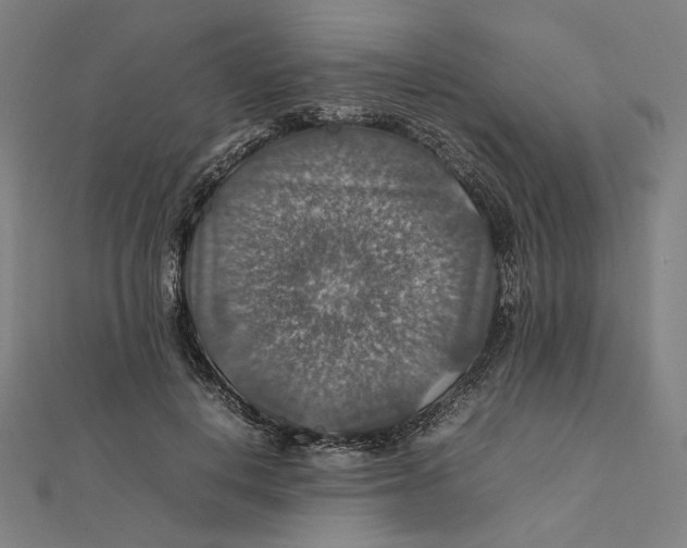 X0000112010648200908311135