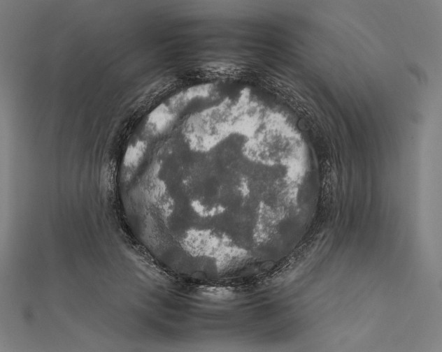 X0000112010649200908311135