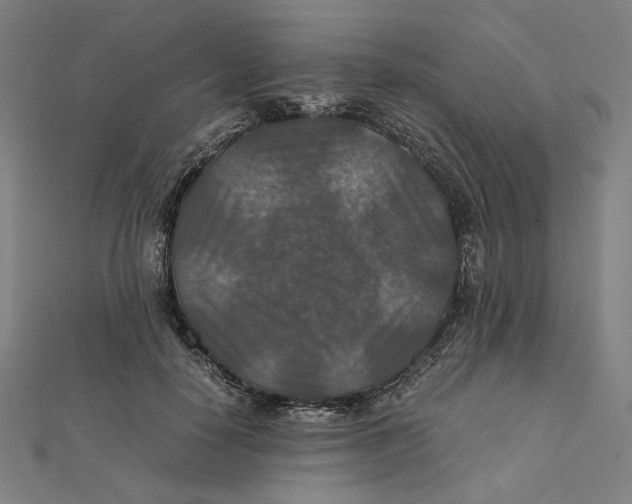 X0000112010650200908311135
