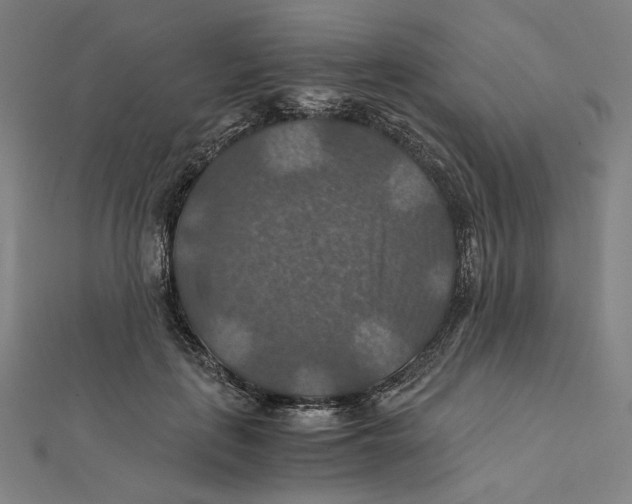 X0000112010651200908311135